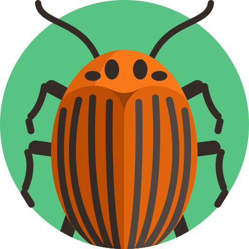 Room Icon
