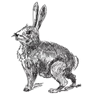 Room Icon