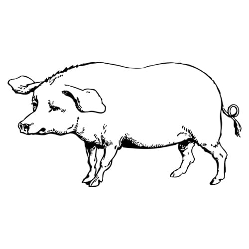 Room Icon