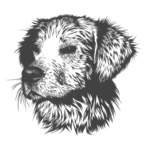 Room Icon