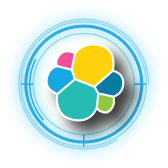 elastic icon
